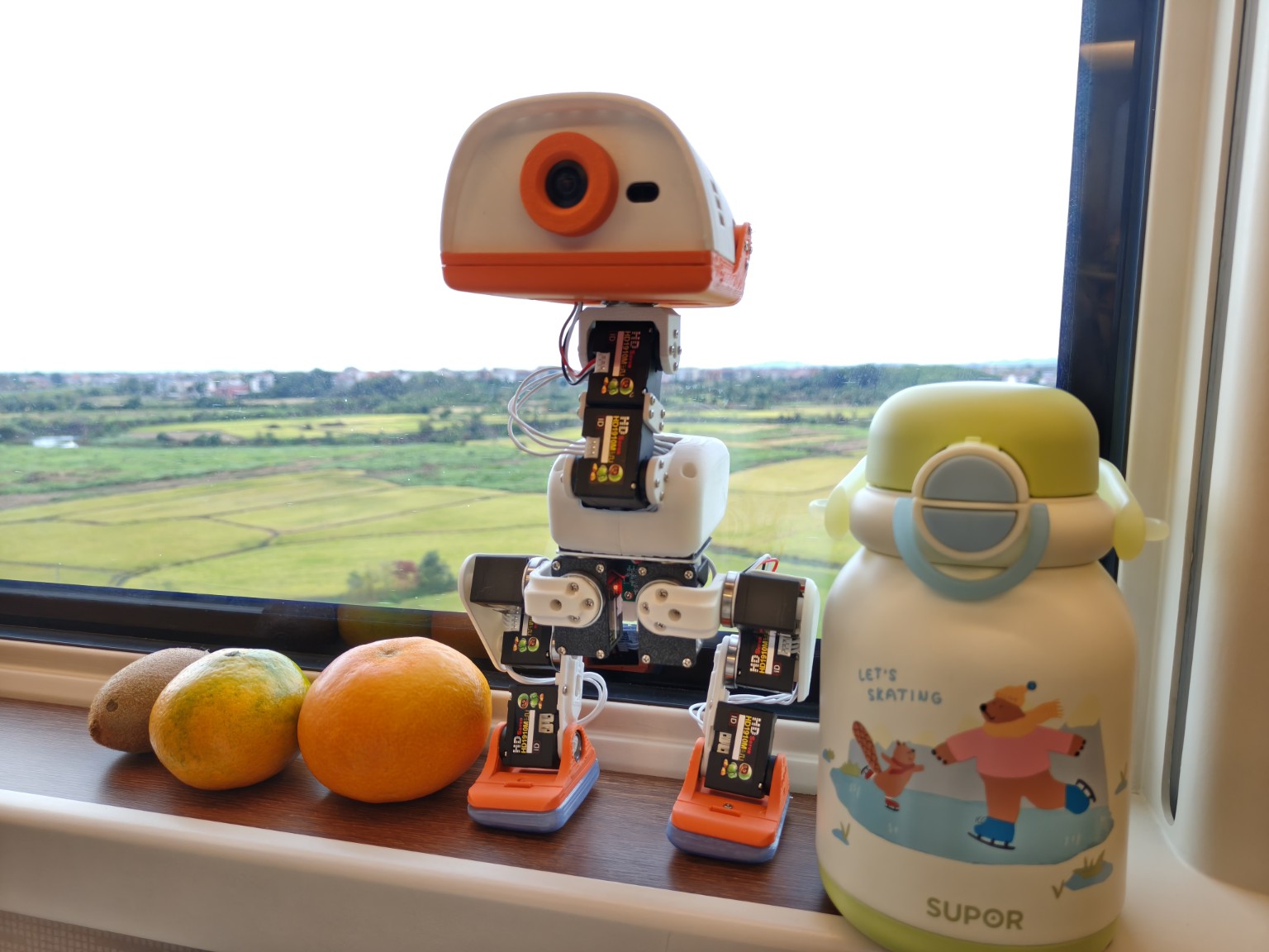 作者完成装配的 Microduck 飞特机器人鸭